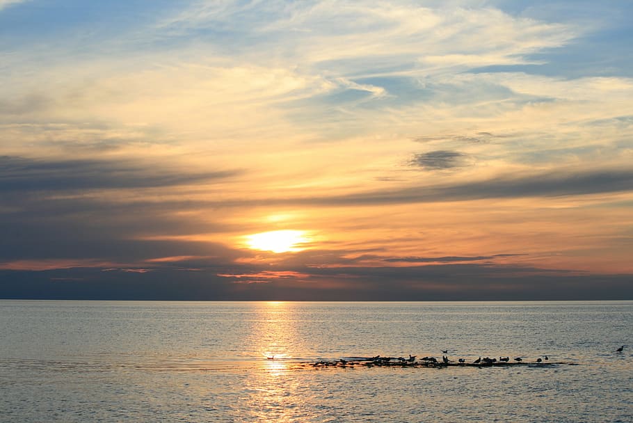 sunset, sea, sky, beach, nature, landscape, horizon, summer HD wallpaper