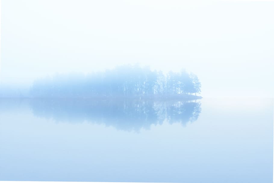 body of water across trees surrounded by fogs, untitled, Foggy HD wallpaper