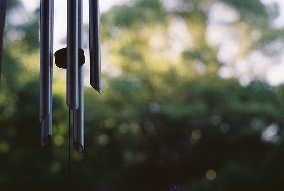 focus, pic, nature, focus on foreground, no people, metal, close-up HD wallpaper