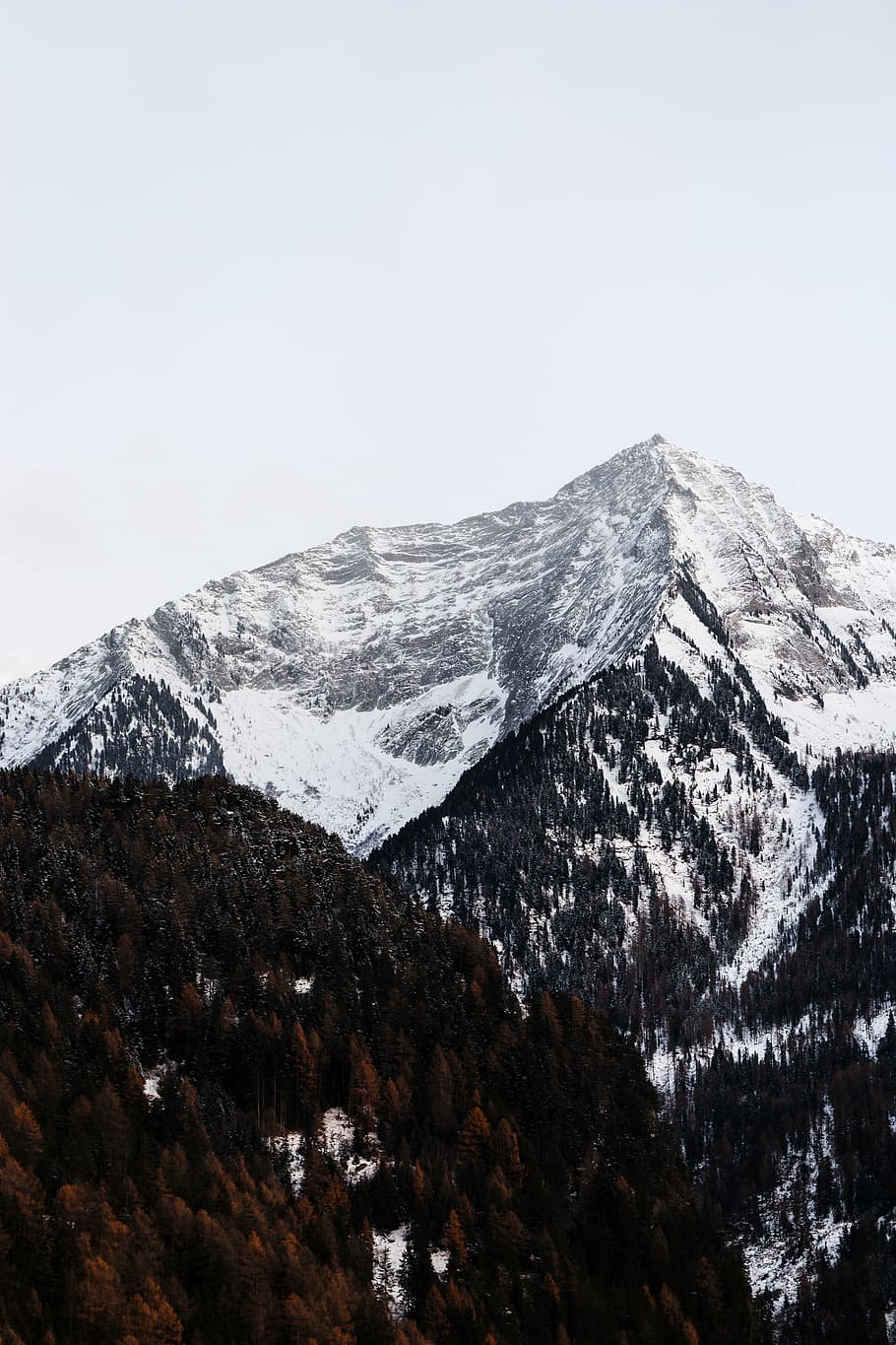 forest beside mountain covered with snow, aerial photography of white and black mountain HD wallpaper