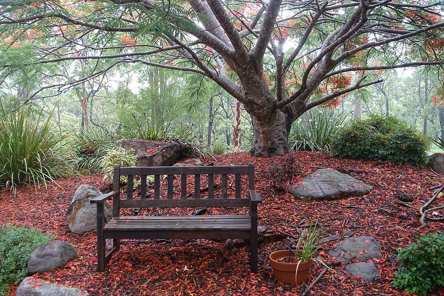 bench, seat, relaxation, outside, peaceful, resting, sitting HD wallpaper