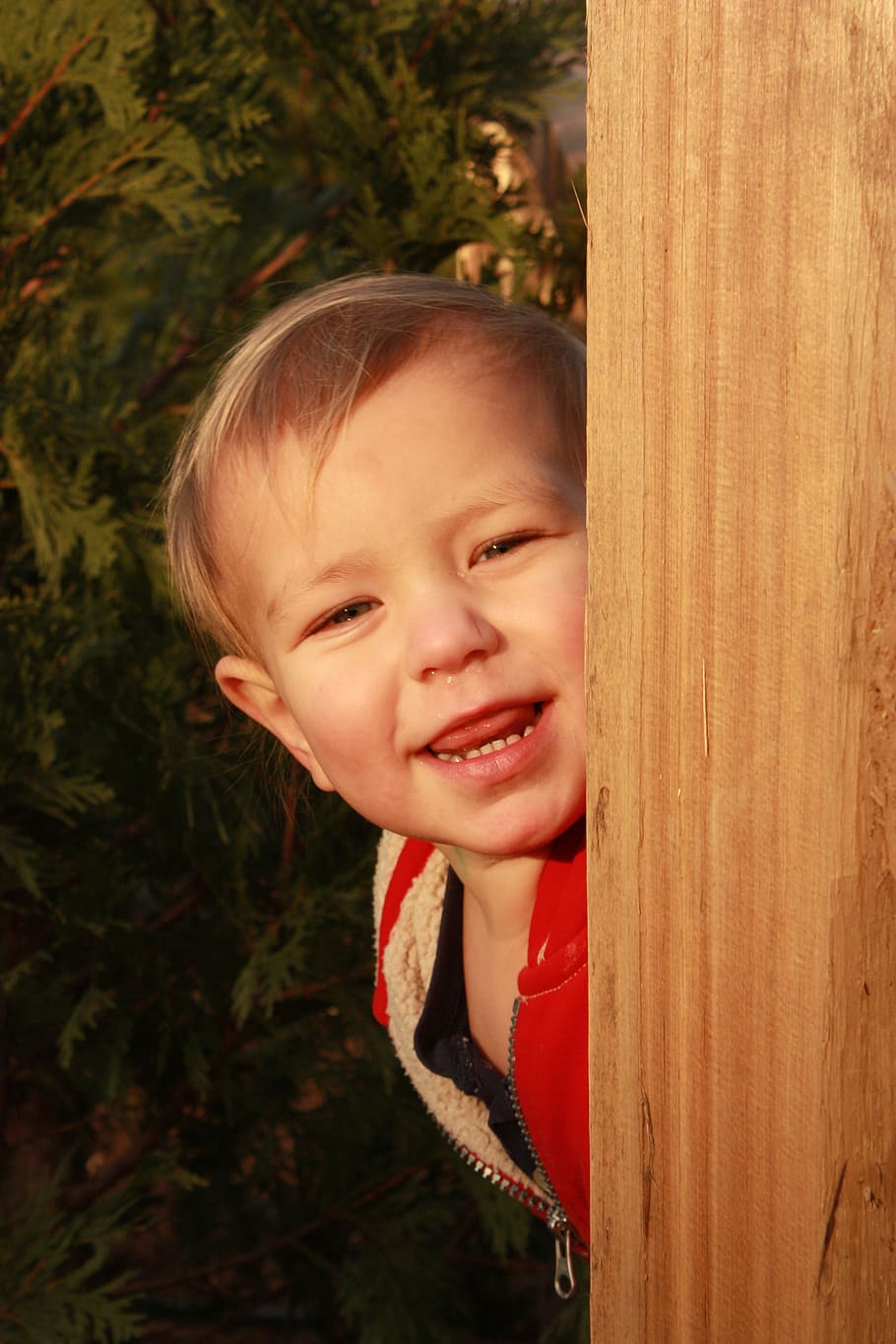 Boy, Youth, Fun, Sunshine, Outdoors, joy, nature, playing, caucasian HD wallpaper