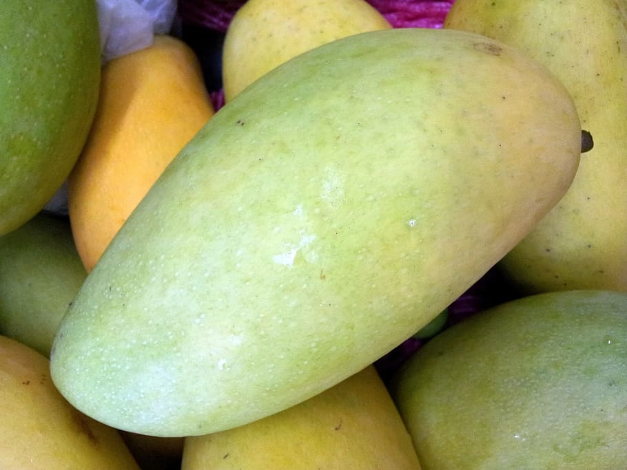 King Mango, Mango Single, mango king taiwan, fruit, juicy, food HD wallpaper