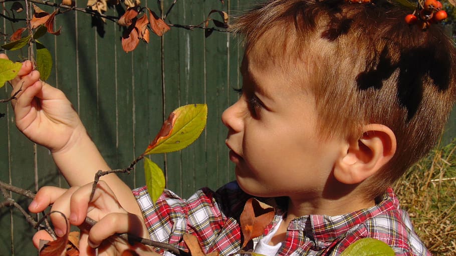 little boy, child, curious, explore, outside, nature, exploring HD wallpaper