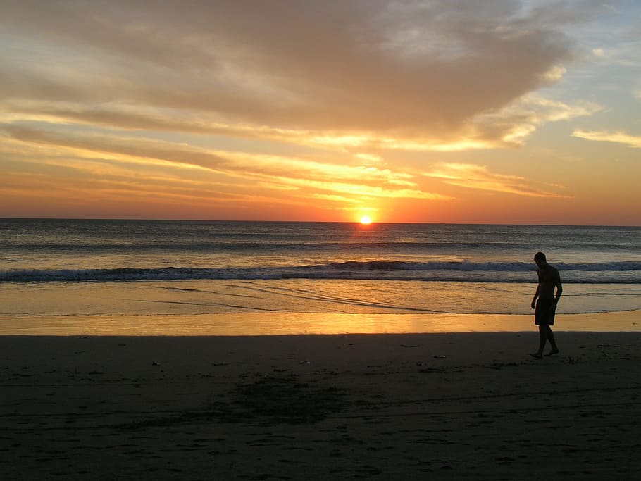 silhouette dusk photo of man walking on sea shore during golden time HD wallpaper
