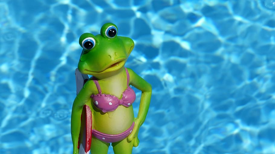 Frog, Water, Decorative, Items, summer, decorative items, holiday HD wallpaper