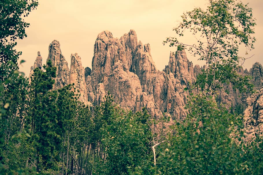 brown mountain in front of trees, landscape photograph of brown rock formation HD wallpaper