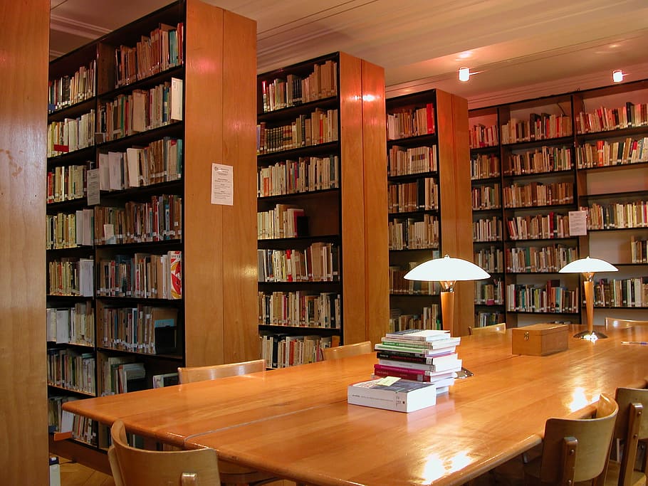 library, books, reading, study, to study, culture, shelf, publication HD wallpaper