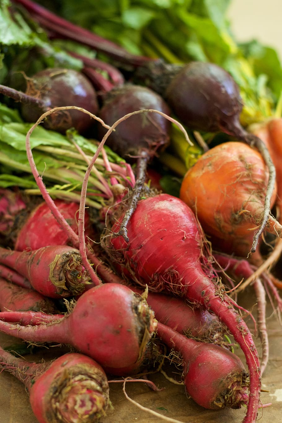 beet, greens, vegetable, food and drink, healthy eating, wellbeing HD wallpaper