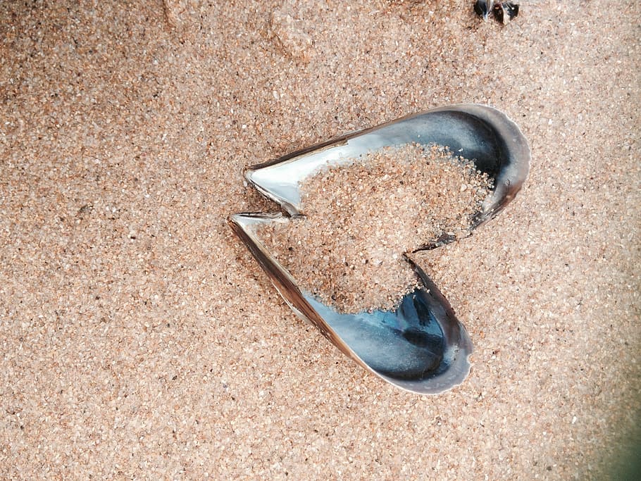 Heart, Seashell, Sand, Beach, day, no people, close-up, outdoors HD wallpaper