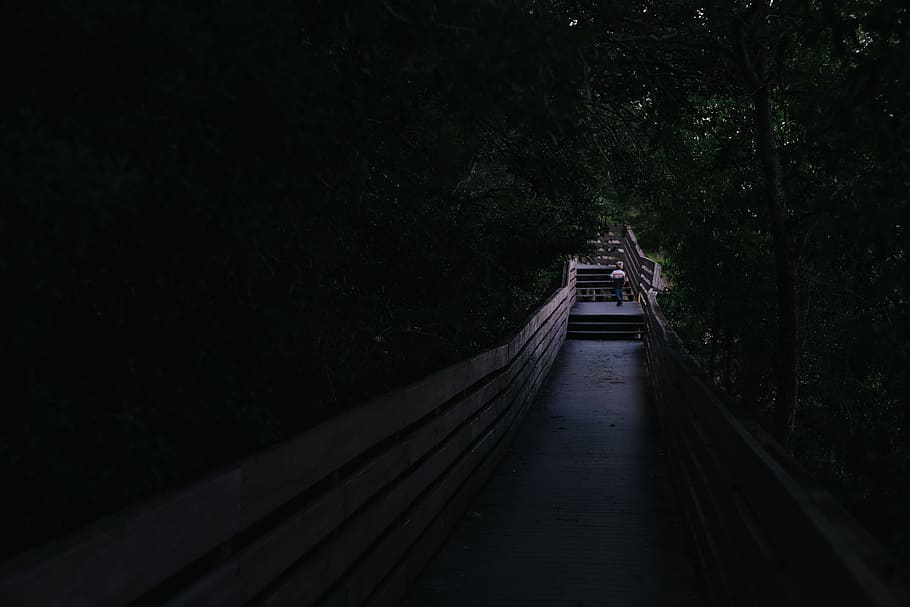 man walking on bridge, man walking on pavement beside tall trees HD wallpaper