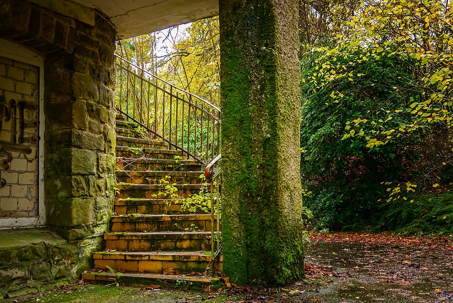 photo of pillar with moss, stairs, lost places, pforphoto, emergence, HD wallpaper