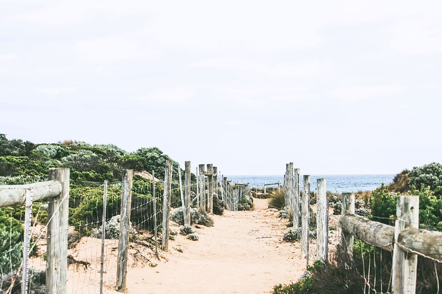 brown sand between brown wooden backyard during daytime, widening pathway leading to seashore HD wallpaper