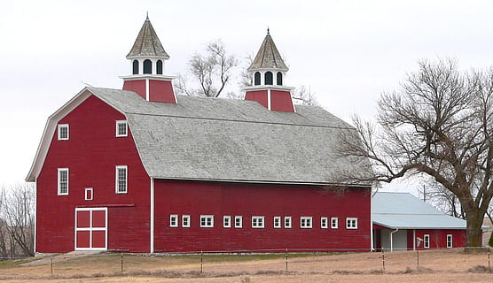 red and gray barn near bare tree, nebraska, farm, rural, rustic HD wallpaper