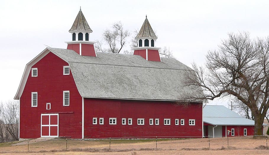 red and gray barn near bare tree, nebraska, farm, rural, rustic HD wallpaper