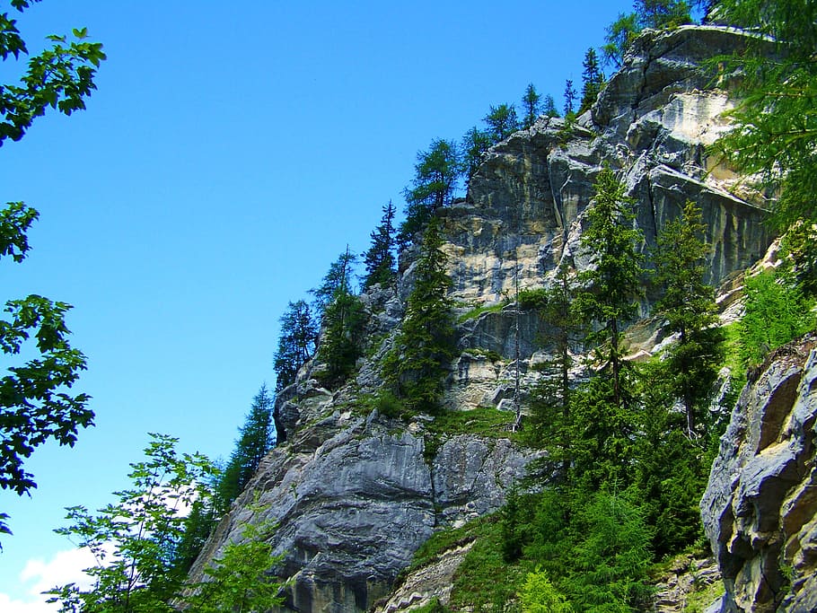 rocks, alps, austria, tree, plant, sky, clear sky, low angle view HD wallpaper
