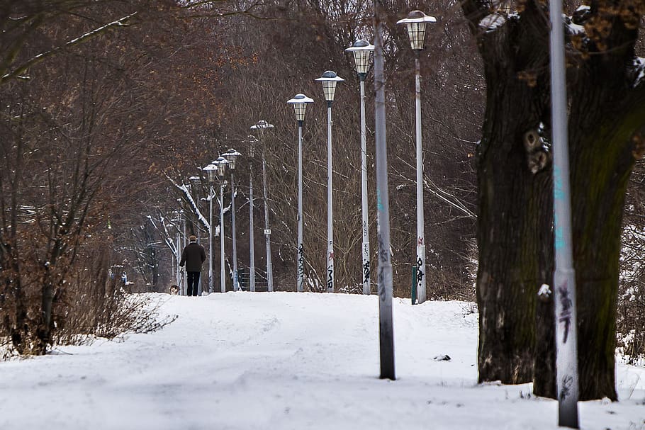 berlin, malchow, winter, walk, snow, cold temperature, tree HD wallpaper