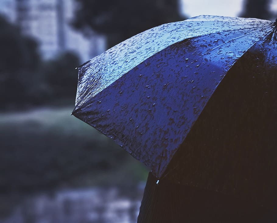 fuji, nikon, umbrella, focus on foreground, close-up, water HD wallpaper