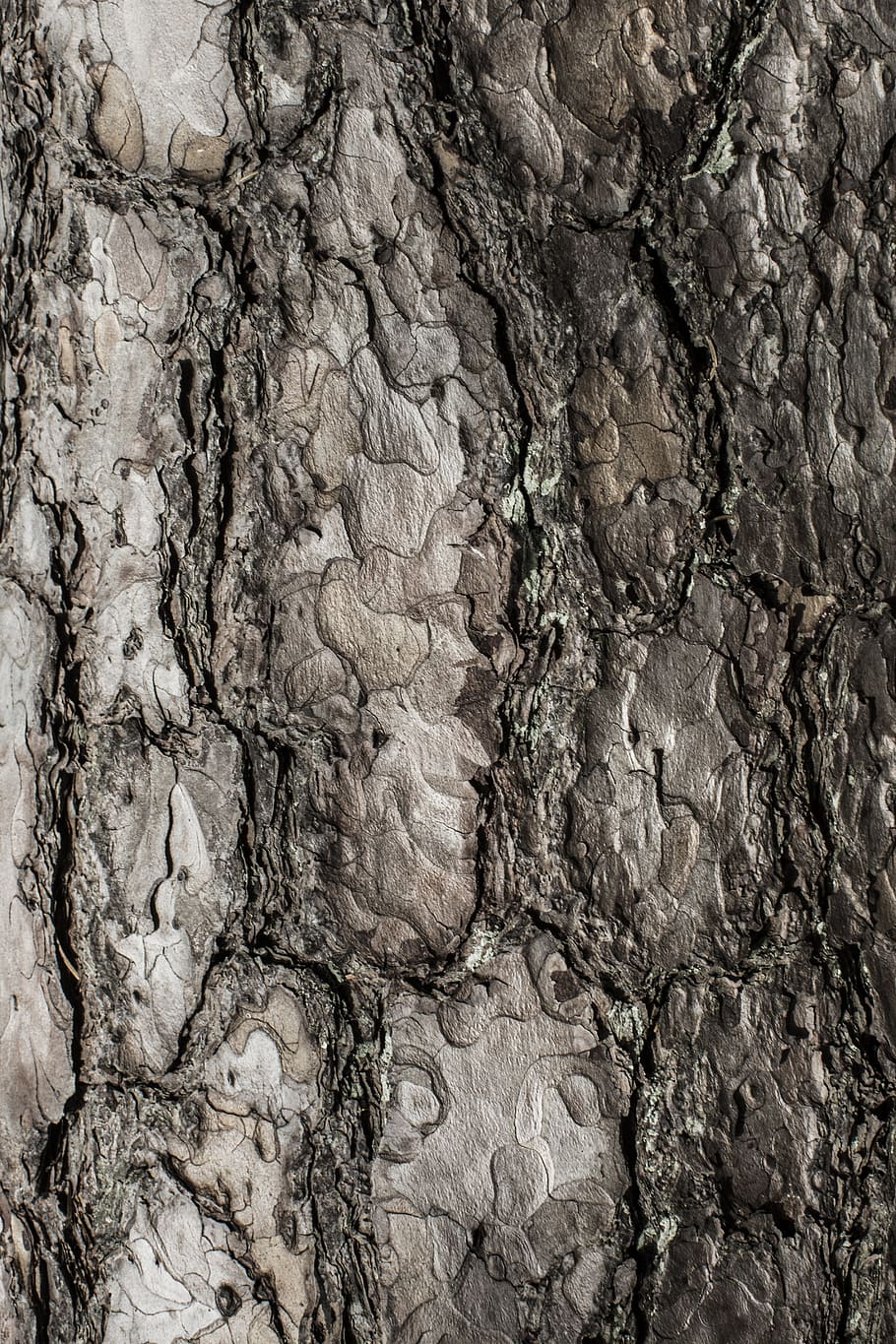 texture, photo, nature, close, backgrounds, full frame, textured HD wallpaper