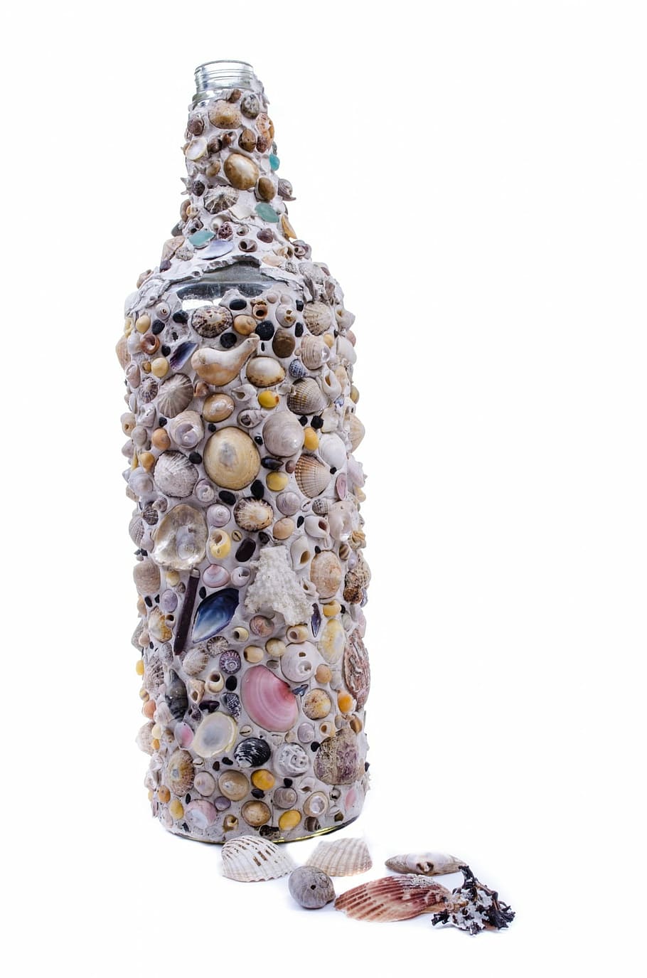 bottle, seashells, glass, art, decoration, natural, beach, isolated HD wallpaper