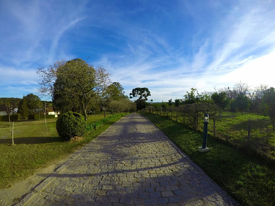 Road, Field, Path, Interior, Nature, blue sky, landscape, place HD wallpaper