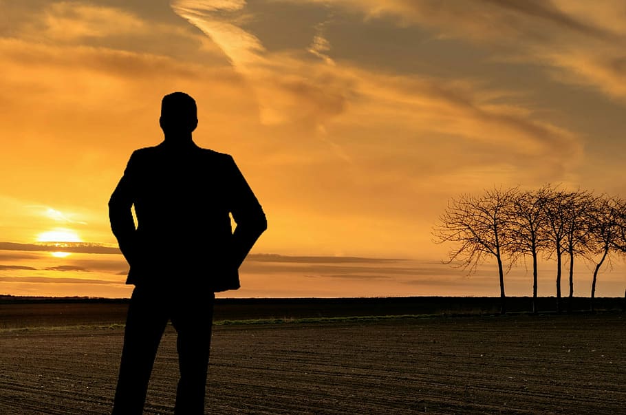 silhouette of man during golden hour, relaxing, panoramic, looking HD wallpaper