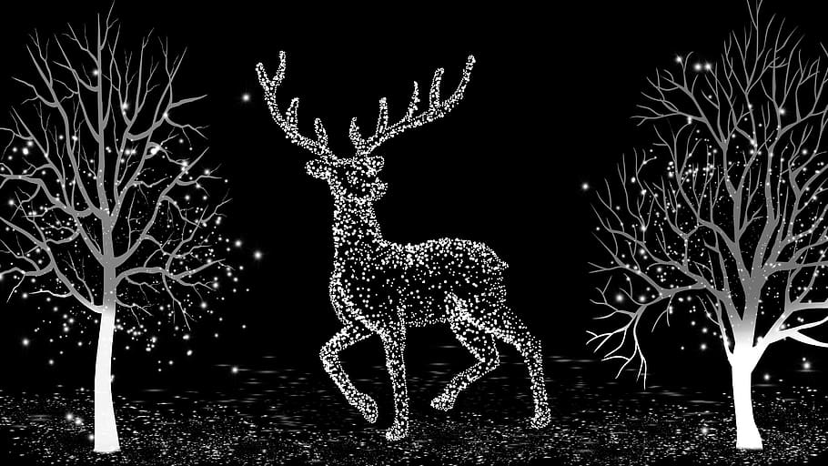 winter, light, winter trees, wintry, christmas, deer, illuminated HD wallpaper