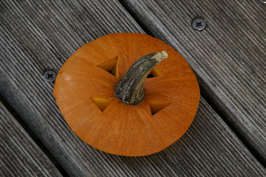 pumpkin, pumpkins, orange, bright, autumn, autumn decoration HD wallpaper