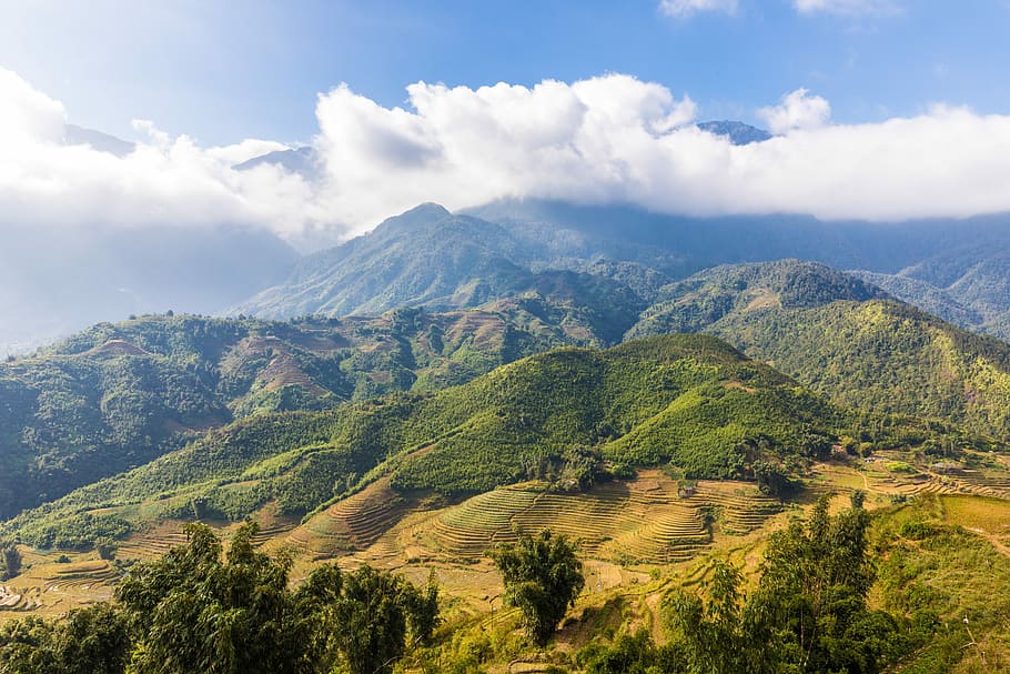 scenery of mountain hills, nature, landscape, tree, sky, sapa HD wallpaper