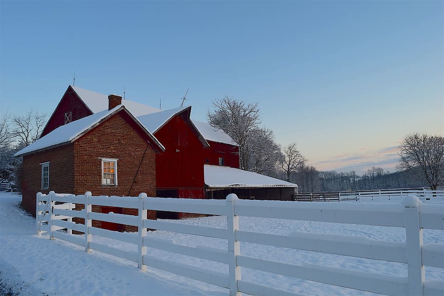 brown and white house near backyard, barn, winter, snow, cold, HD wallpaper