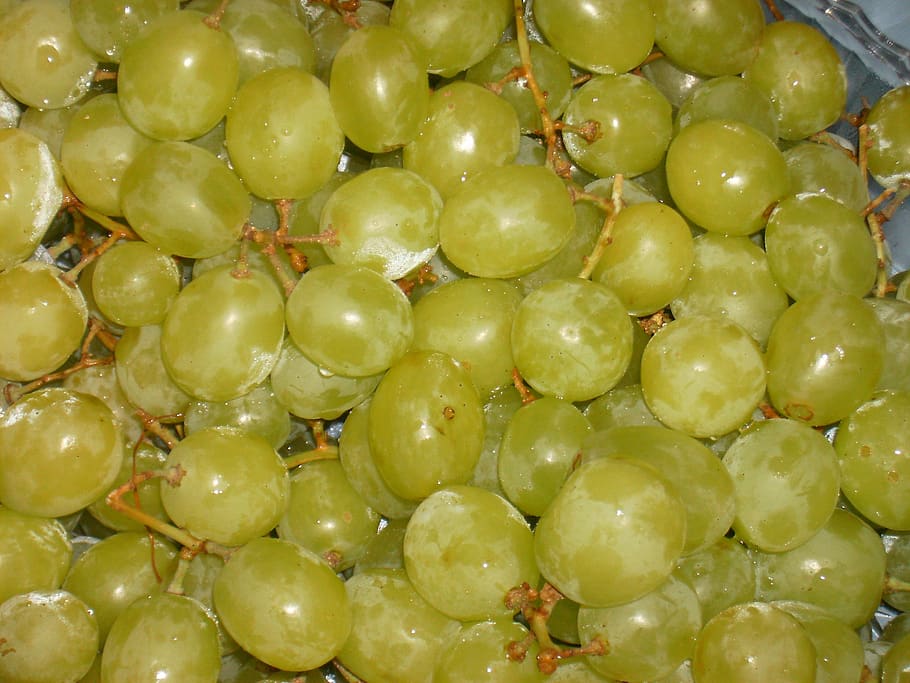 grapes, fruit, green, bunch, food and drink, healthy eating HD wallpaper