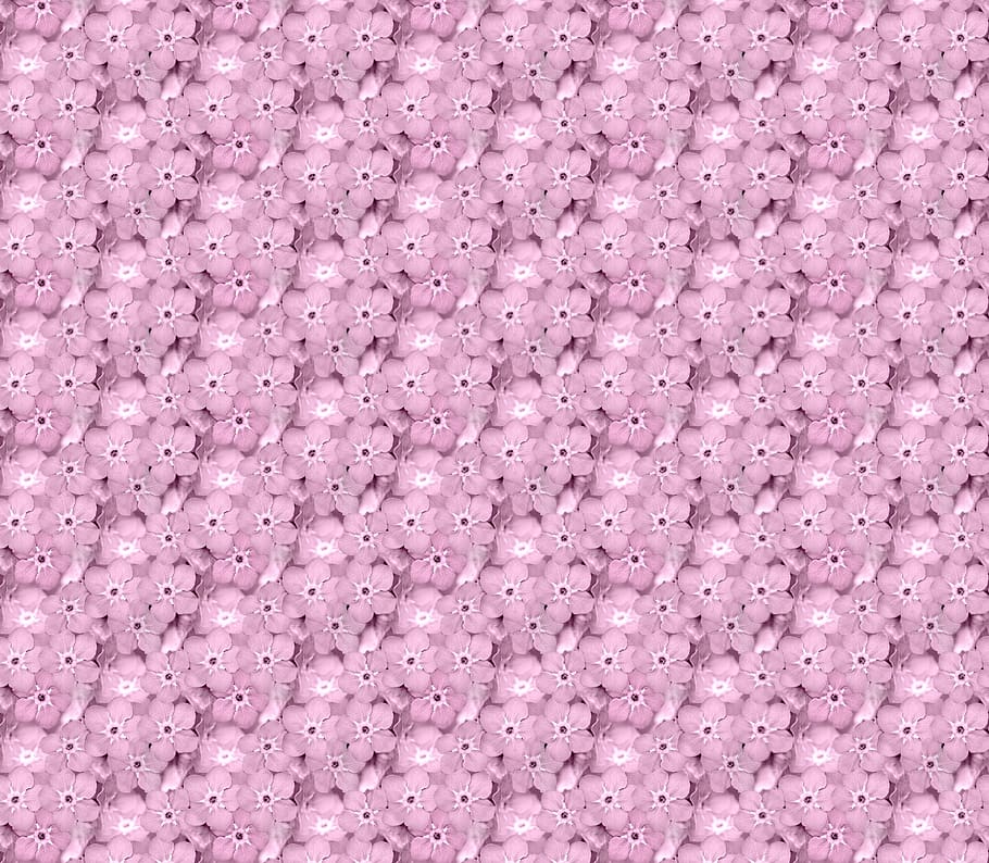 texture, flower, background, pink, seamless pattern, seamless background HD wallpaper