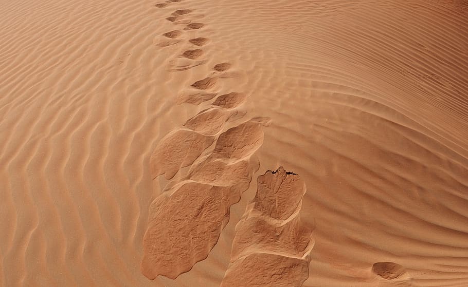 sand, desert, sandy, arid, footprint, land, sand dune, arid climate HD wallpaper