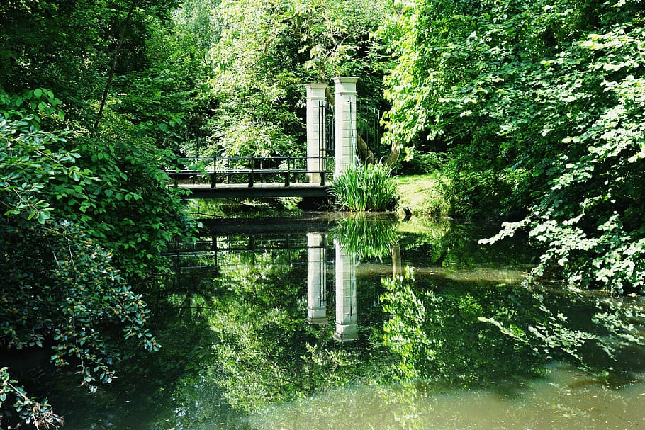 Pond, Park, Park, Bridge, Forest, Foliage, reflection, sunshine HD wallpaper