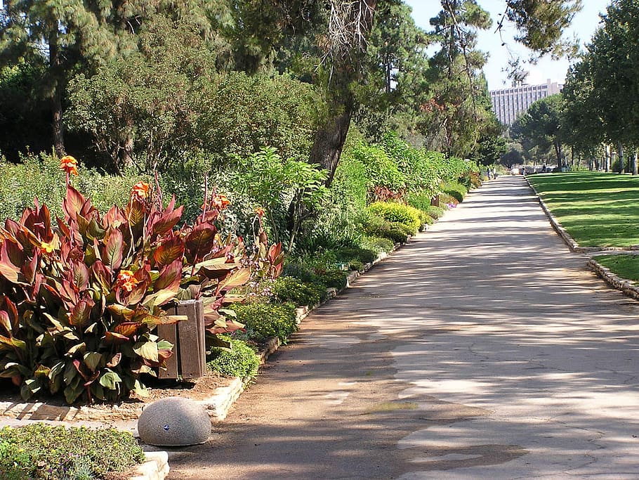 Garden at the Hebrew University in Jerusalem, Israel, photos