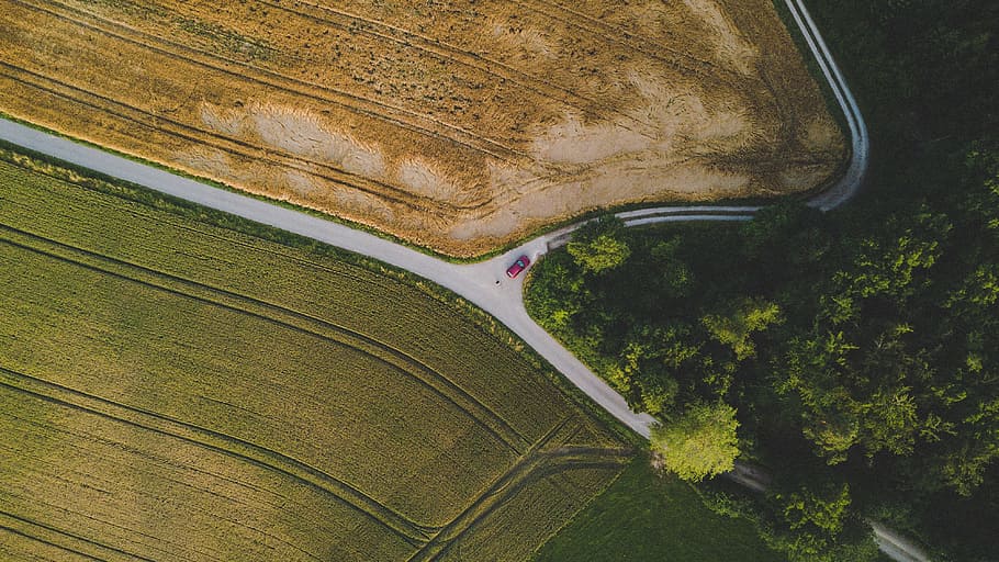 aerial photo of green and beige fields during daytime, aerial photography of grass field HD wallpaper