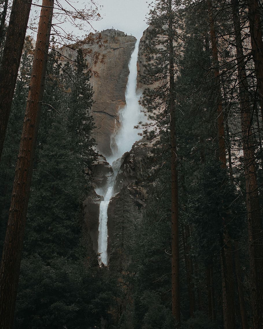 falls near forest, waterfall surrounded by trees, cliff, mountain HD wallpaper