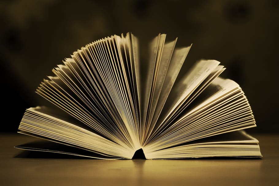 photo of open textbook, pages, paper, education, literature HD wallpaper