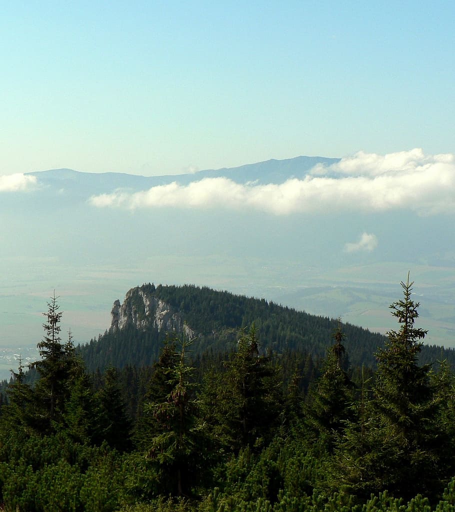 Slovakia, Mountains, Nature, Clouds, liptov, forest, tree, landscape HD wallpaper