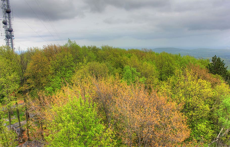 Close up of trees at Rib Mountain State Park, Wisconsin, clouds HD wallpaper