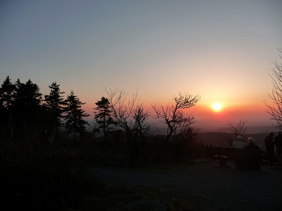 sunset, taunus, feldberg, sky, tree, plant, silhouette, scenics - nature HD wallpaper