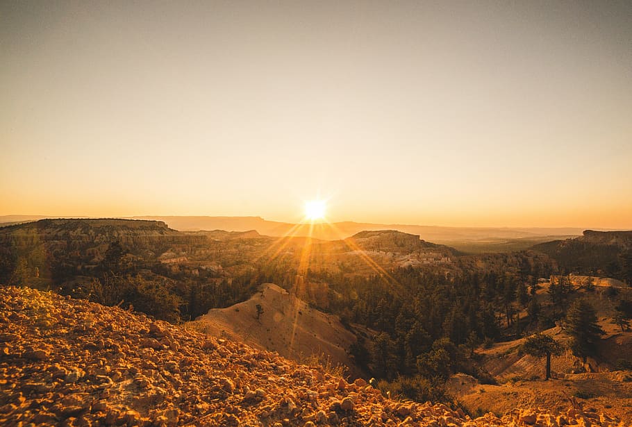 Sunrise in Bryce, top view of green forest near sand during daytime HD wallpaper