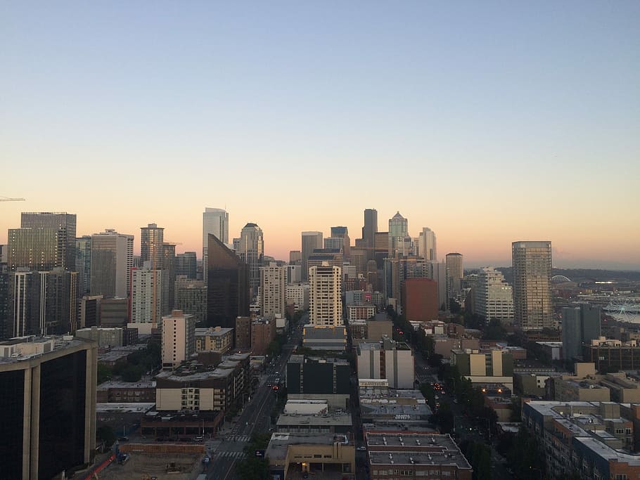 city skyline during daytime, cityscape, urban Skyline, skyscraper HD wallpaper