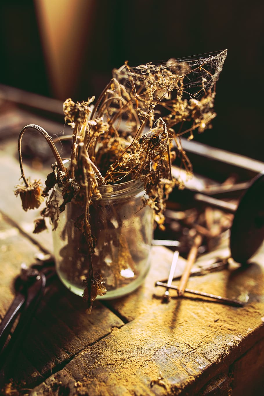 Flower, Withered, Jar, Old, flowers, vintage, wood, dust, food and drink HD wallpaper
