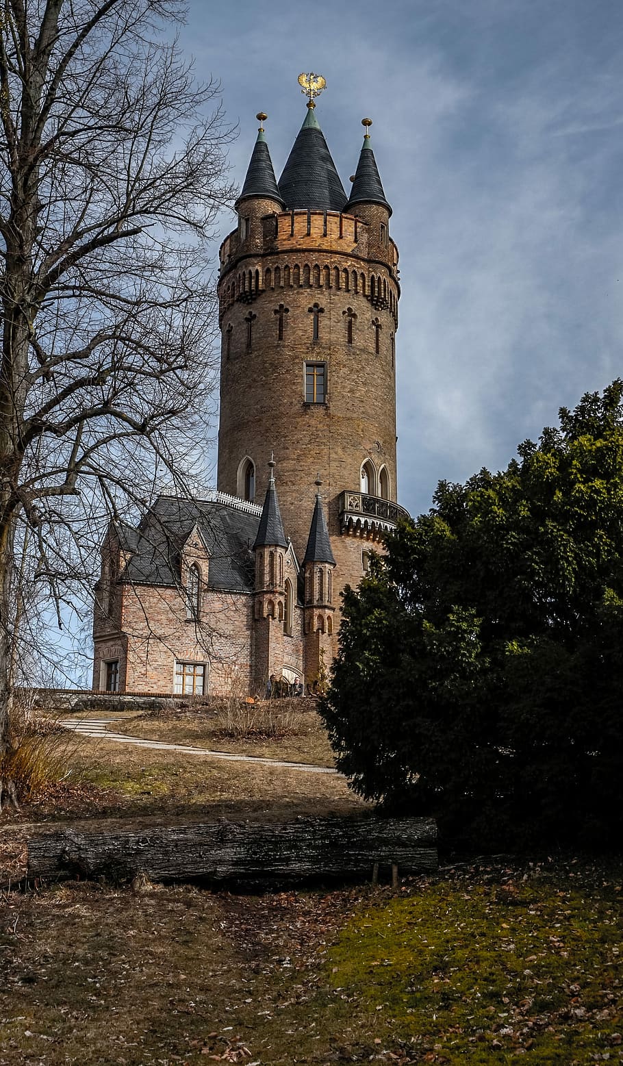 architecture, tower, old, castle, potsdam, tree, building exterior HD wallpaper