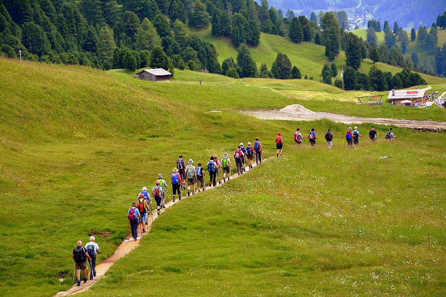 group of people walking on green field during daytime, hiking HD wallpaper