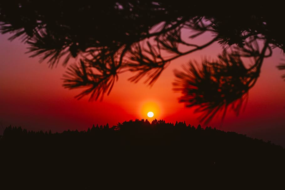 backlit, dark, dramatic, dusk, idyllic, leaves, nature, scenic HD wallpaper