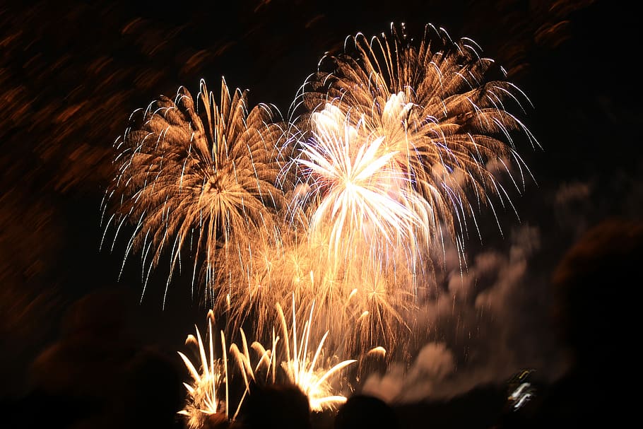 low angle-view of fireworks, fireworks display, lights, night HD wallpaper