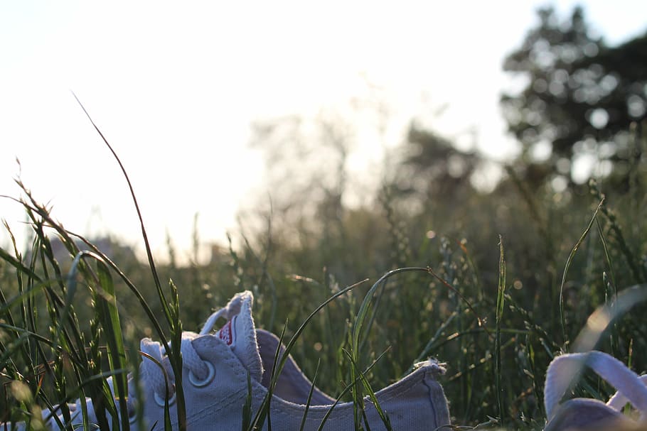 dresden, elbe, sun, day, shoes, plant, land, nature, grass HD wallpaper