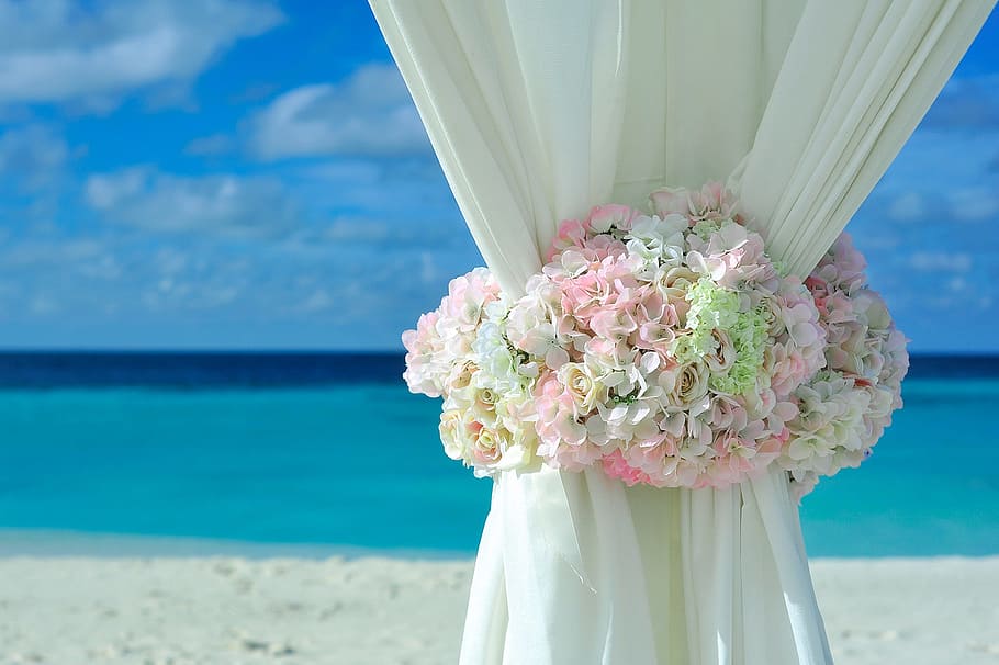 white curtain surrounded by flowers under blue sky, beach, decorations